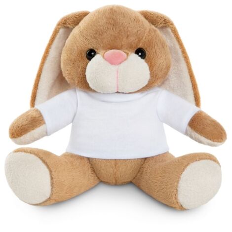 Rabbit Bunny